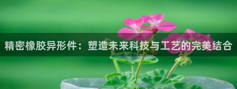 彩神购彩-购彩大厅入口老版：精密橡胶异形件：塑造未来科技与工艺的完美结合