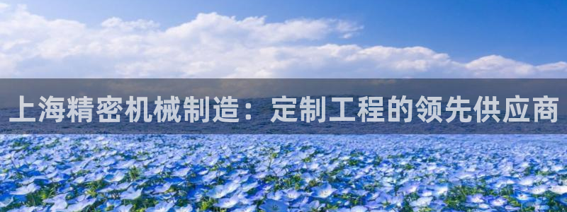 彩神ll能赚钱吗：上海精密机械制造：定制工程的领先供应商