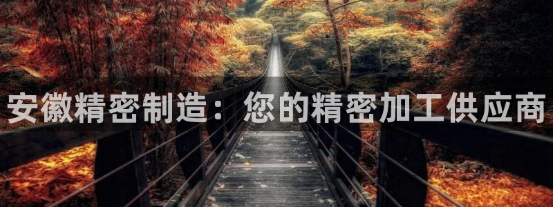 彩神通官方网：安徽精密制造：您的精密加工供应商