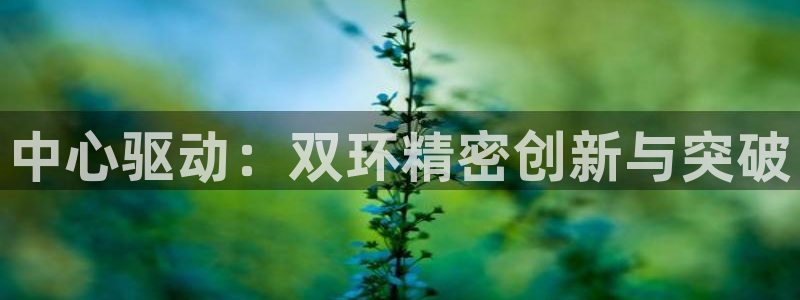 彩神用户登录：中心驱动：双环精密创新与突破