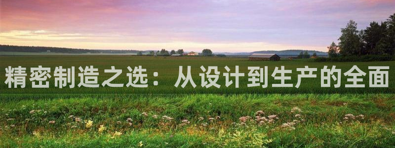 彩神8彩平台官网：精密制造之选：从设计到生产的全面