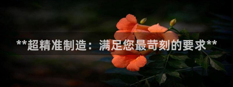 彩神网合法吗：**超精准制造：满足您最苛刻的要求**