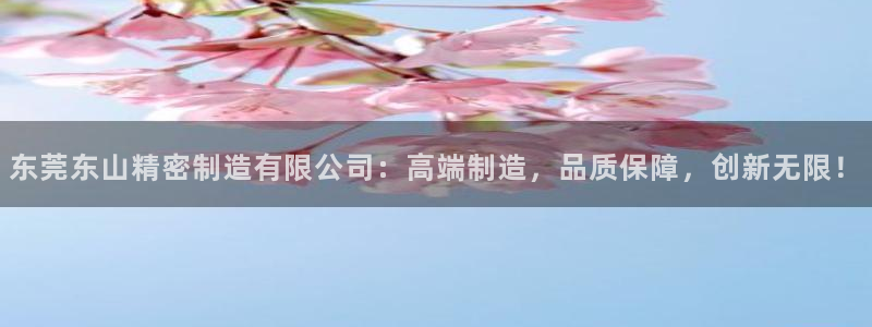 彩神大发官网：东莞东山精密制造有限公司：高端制造，品质保障，创新无限！