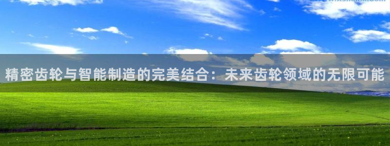 彩神v秘聊号码：精密齿轮与智能制造的完美结合：未来齿轮领域的无限可能