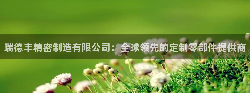 彩神vll趣投彩：瑞德丰精密制造有限公司：全球领先的定制零部件提供商