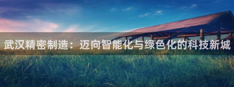 彩神v争霸有限公司：武汉精密制造：迈向智能化与绿色化的科技新城