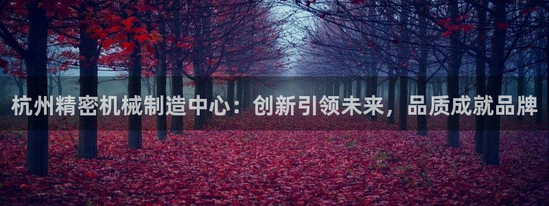 彩神v8是真的挣钱吗知乎：杭州精密机械制造中心：创新引领未来，品质成就品牌