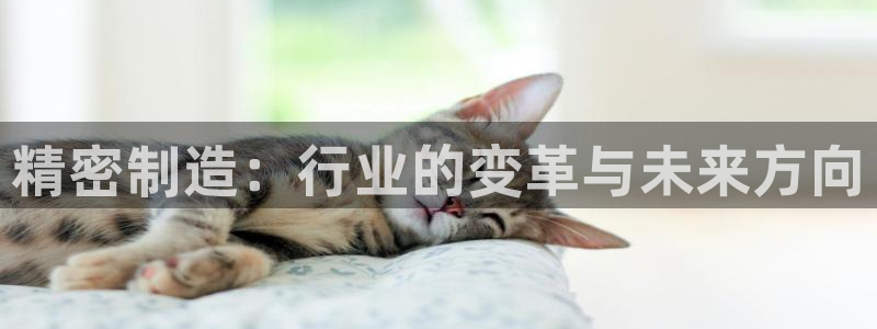 彩神v秘聊号码：精密制造：行业的变革与未来方向
