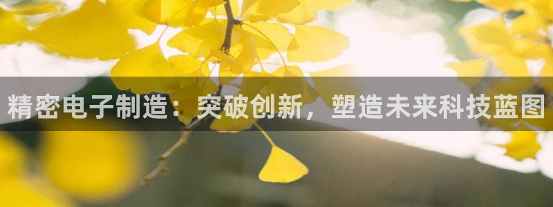 新版彩神v8登录不了：精密电子制造：突破创新，塑造未来科技蓝图