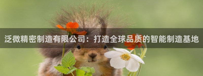 彩神vll购彩大厅：泛微精密制造有限公司：打造全球品质的智能制造基地