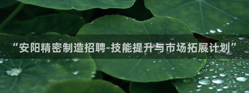在彩神网输了六万多怎么拿回来：“安阳精密制造招聘-技能提升与市场拓展计划”