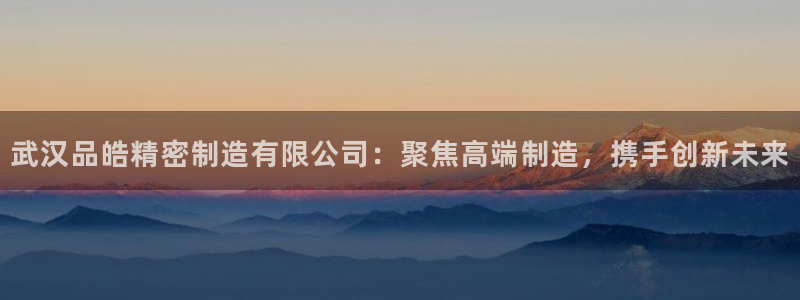 所有彩神购买首页都一样吗：武汉品皓精密制造有限公司：聚焦高端制造，携手创新未来