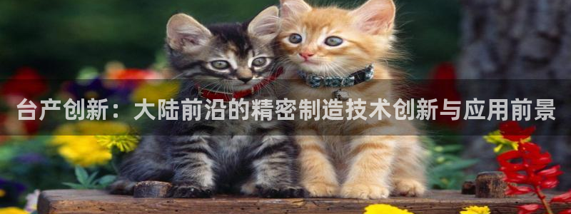 彩神新微聊：台产创新：大陆前沿的精密制造技术创新与应用前景