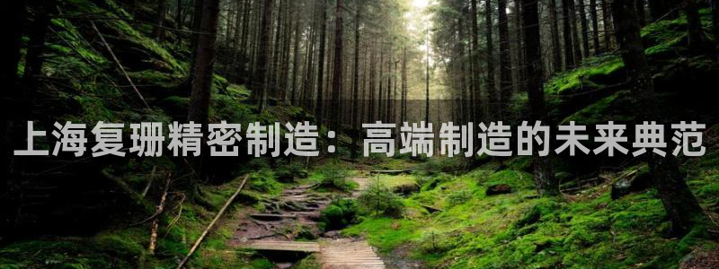 彩神怎么样可以提现：上海复珊精密制造：高端制造的未来典范