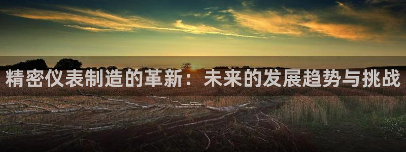 彩神vll官网在线登录：精密仪表制造的革新：未来的发展趋势与挑战