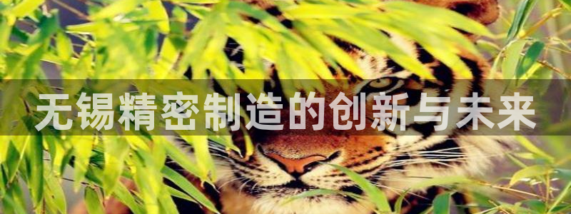 彩神8是正规平台吗安全吗：无锡精密制造的创新与未来