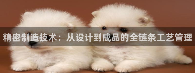 彩神是正规平台吗：精密制造技术：从设计到成品的全链条工艺管理