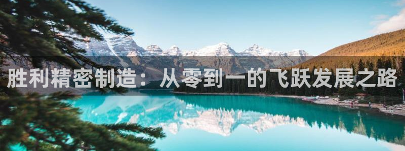 彩神8官网版是正规的吗：胜利精密制造：从零到一的飞跃发展之路