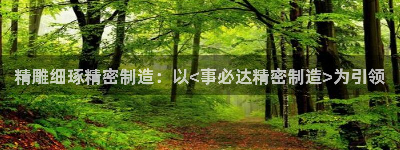 彩神v8首页：精雕细琢精密制造：以<事必达精密制造>为引领