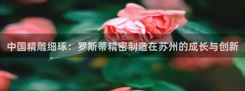 彩神到底能不能赚钱：中国精雕细琢：罗斯蒂精密制造在苏州的成长与创新