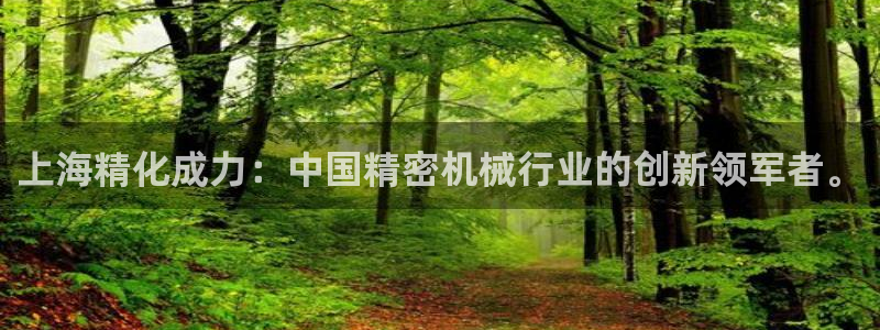 彩神购彩-购彩大厅入口下载：上海精化成力：中国精密机械行业的创新领军者。
