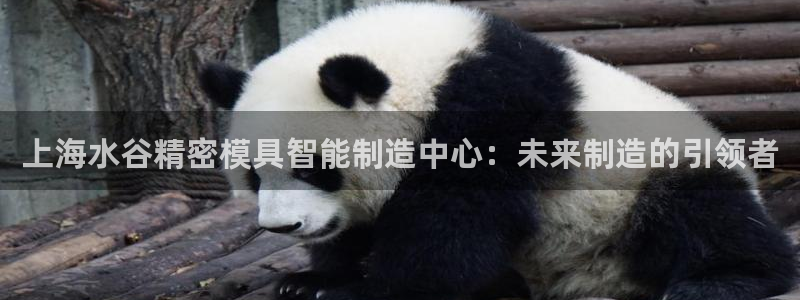 彩神邀请码:00-00-3267：上海水谷精密模具智能制造中心：未来制造的引领者