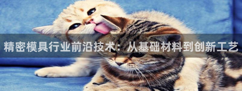 彩神购彩-购彩大厅入