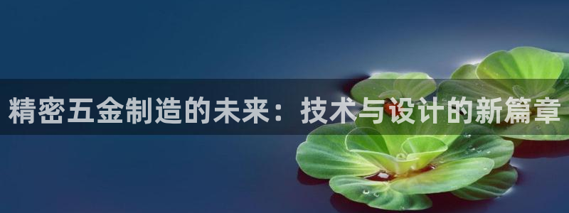 彩神Vii购彩-购彩大厅：精密五金制造的未来：技术与设计的新篇章