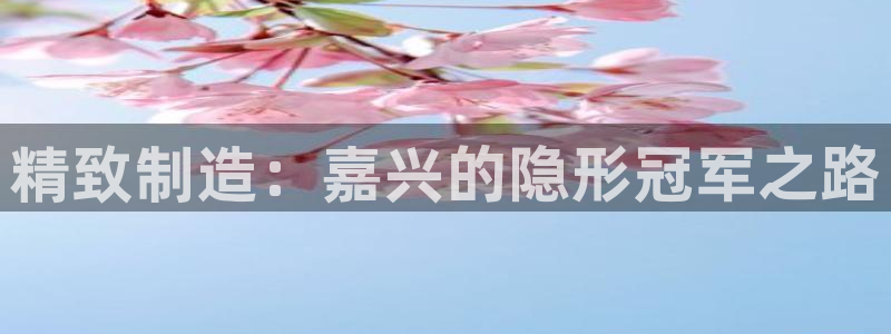 彩神vll购彩大厅大