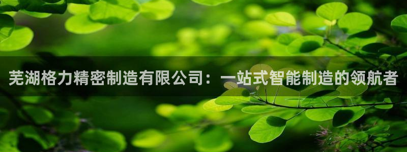 下载彩神乐发V1：芜湖格力精密制造有限公司：一站式智能制造的领航者