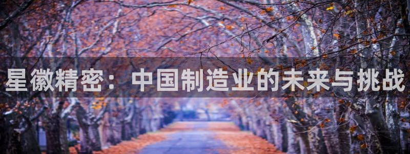 彩神合法吗.是国家认可的吗：星徽精密：中国制造业的未来与挑战