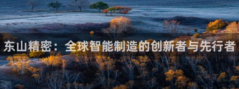 新版彩神v8登录不了：东山精密：全球智能制造的创新者与先行者