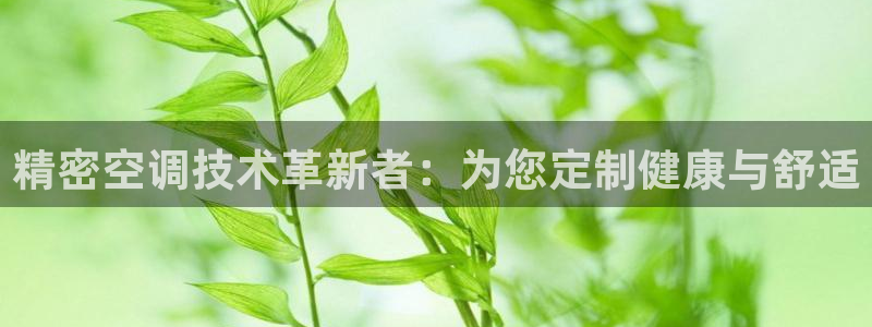 彩神vip官方网站：精密空调技术革新者：为您定制健康与舒适