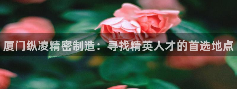 彩神旗下有哪些平台可以看：厦门纵凌精密制造：寻找精英人才的首选地点