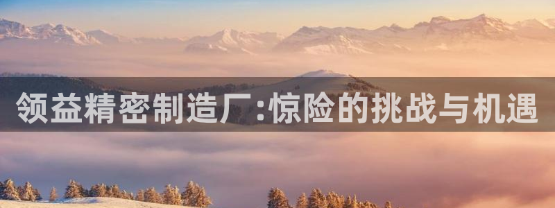 彩神购彩-购彩大厅入口老版：领益精密制造厂:惊险的挑战与机遇
