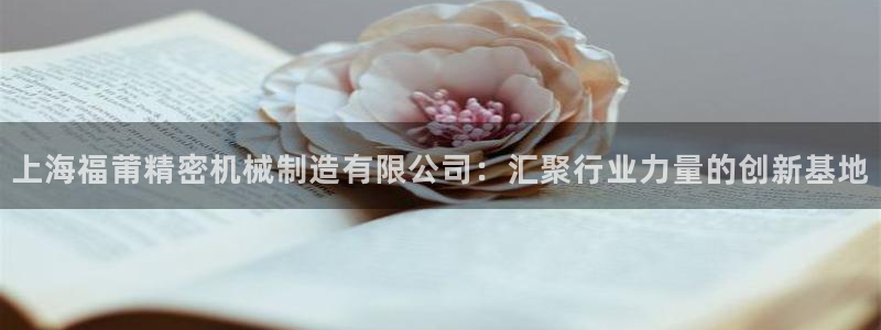 彩神ix是真的吗：上海福莆精密机械制造有限公司：汇聚行业力量的创新基地