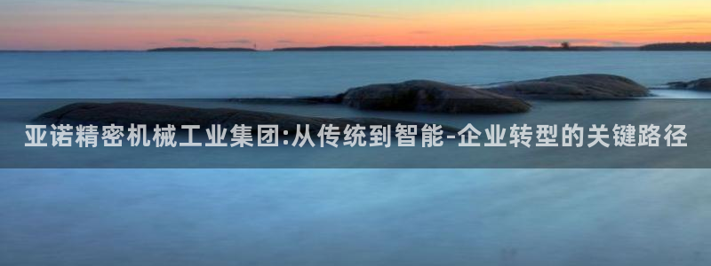 彩神vll趣投彩：亚诺精密机械工业集团:从传统到智能-企业转型的关键路径