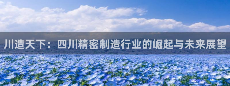 下载彩神乐发V：川造天下：四川精密制造行业的崛起与未来展望