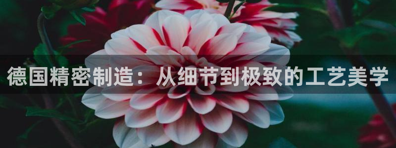 彩神ii官方网：德国精密制造：从细节到极致的工艺美学