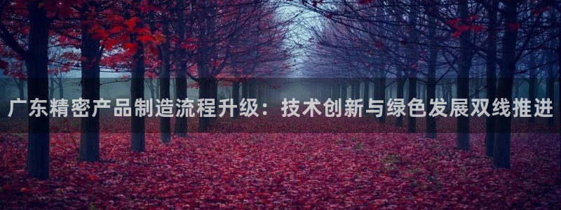彩神购彩购彩大厅入口v：广东精密产品制造流程升级：技术创新与绿色发展双线推进