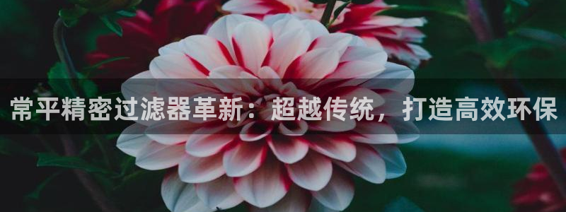 彩神VI首页：常平精密过滤器革新：超越传统，打造高效环保