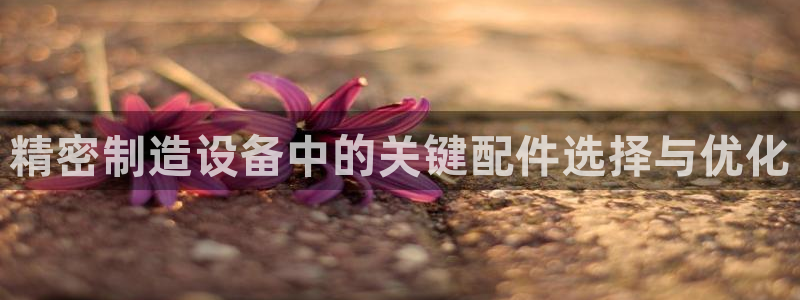 彩神vi争霸官网：精密制造设备中的关键配件选择与优化