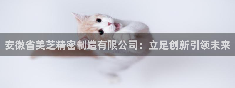 新版彩神v8登录：安徽省美芝精密制造有限公司：立足创新引领未来