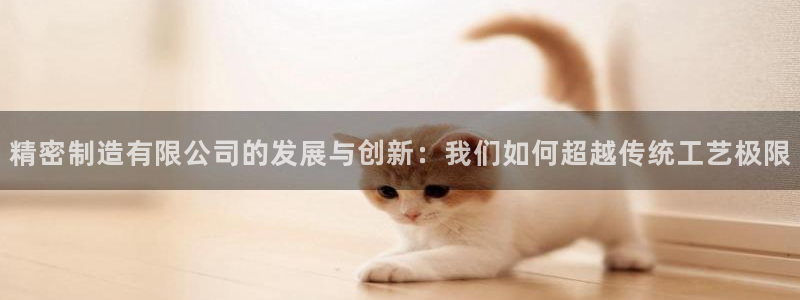 彩神ii官方网：精密制造有限公司的发展与创新：我们如何超越传统工艺极限