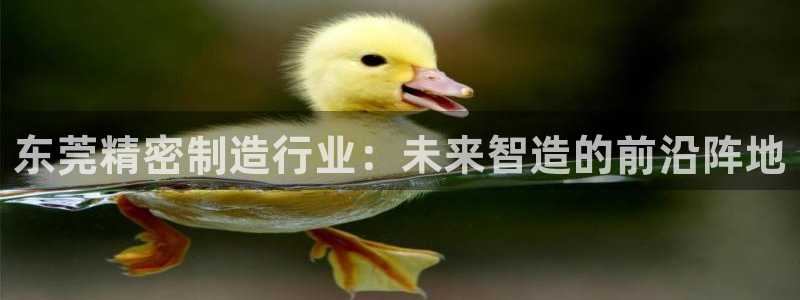 彩神v8手机客户端下载：东莞精密制造行业：未来智造的前沿阵地