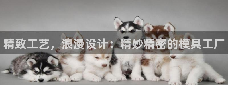 新版彩神v8登录：精致工艺，浪漫设计：精妙精密的模具工厂