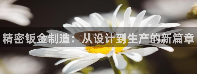 彩神v8购彩大厅登：精密钣金制造：从设计到生产的新篇章