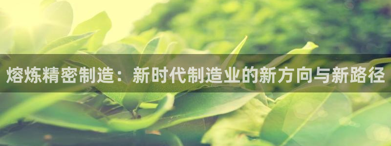 所有彩神购买首页中心：熔炼精密制造：新时代制造业的新方向与新路径