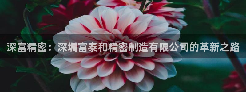 彩神赢了钱登录不上去：深富精密：深圳富泰和精密制造有限公司的革新之路