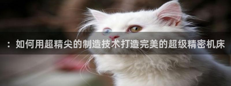 彩神大发如何观察走势